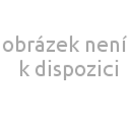 Obrázek pro produkt Pánské tílko Breeze bílé  L